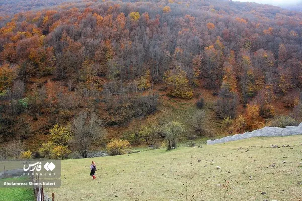  عکس کوه پاییزی