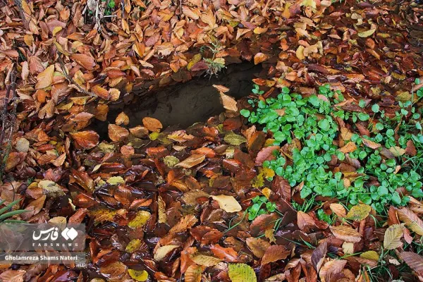  عکس کوه پاییزی