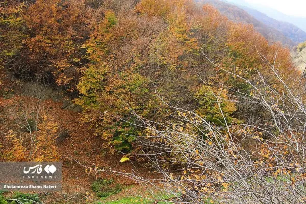  عکس کوه پاییزی