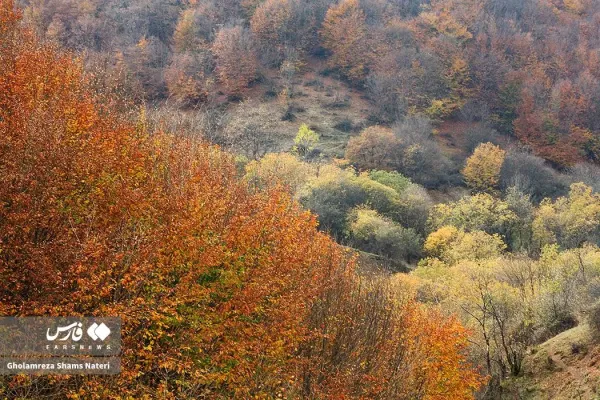  عکس کوه پاییزی