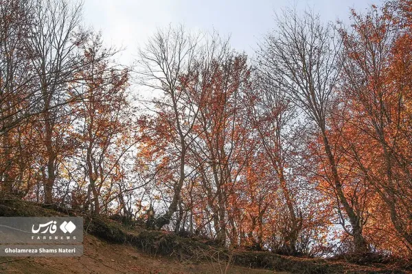  عکس کوه پاییزی