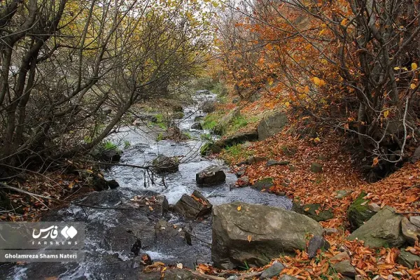  عکس کوه پاییزی