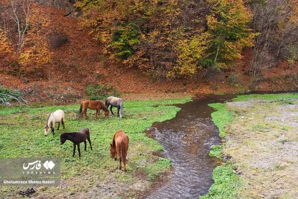  عکس کوه پاییزی