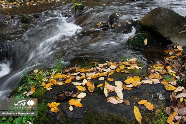  عکس کوه پاییزی