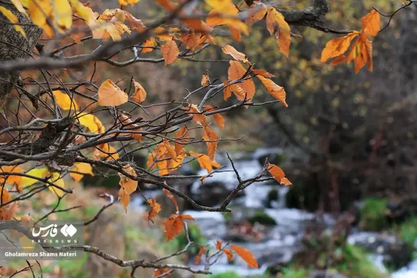  عکس کوه پاییزی