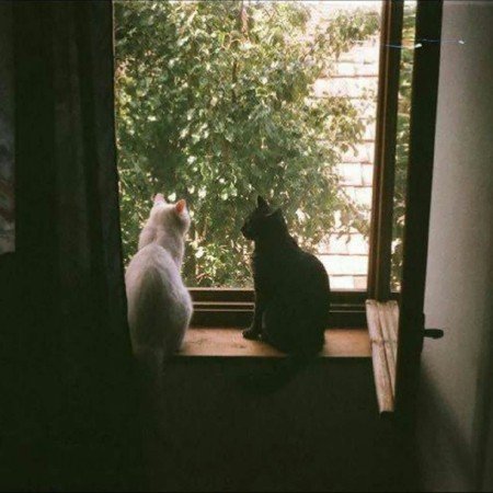  120 عکس صفحه گوشی پاییز