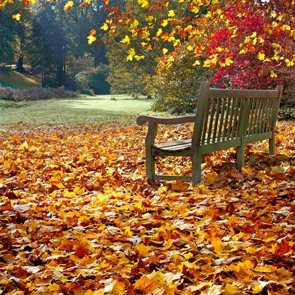 عکس صندلی در پاییز