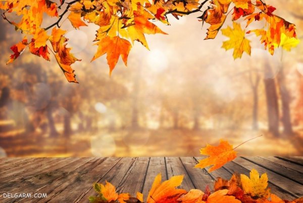 عکس طبیعی از پاییز