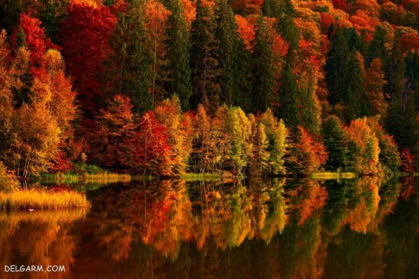  عکس طبیعی از پاییز