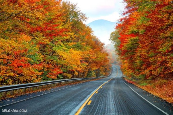  عکس طبیعی از پاییز