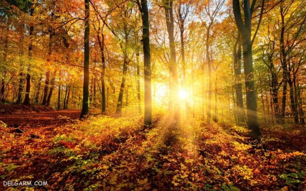  عکس طبیعی از پاییز