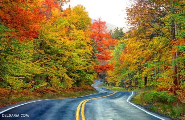  عکس طبیعی از پاییز