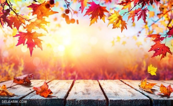  عکس طبیعی از پاییز