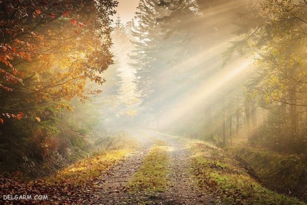  عکس طبیعی از پاییز