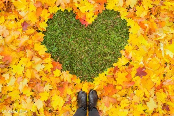  عکس طبیعی از پاییز