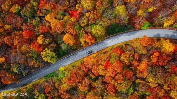  عکس طبیعی از پاییز