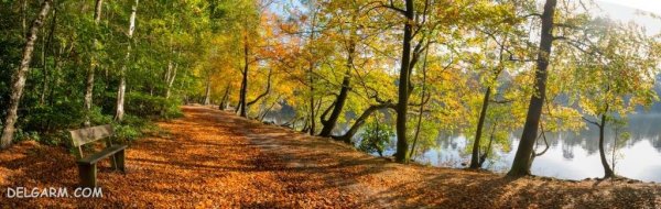  عکس طبیعی از پاییز