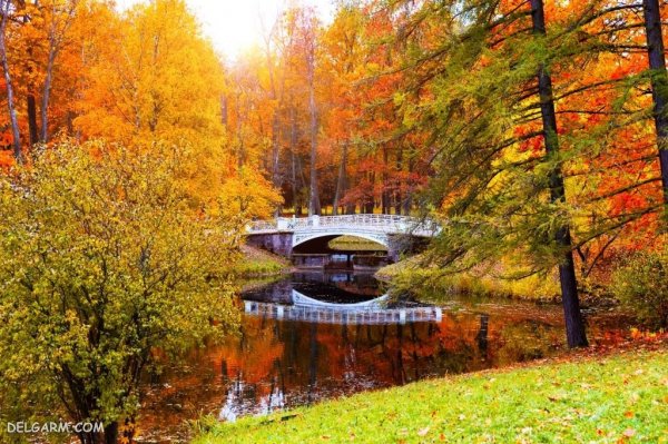  عکس طبیعی از پاییز