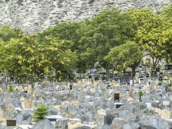  عکس کوه ترسناک