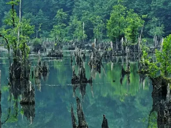  عکس کوه ترسناک