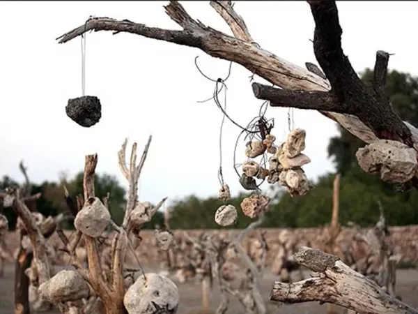  عکس کوه ترسناک