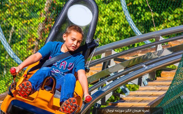  عکس توچال در تابستان