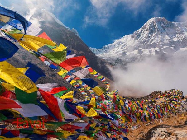  عکس بزرگترین کوه جهان