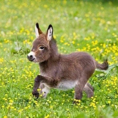  عکس تولد رفیق