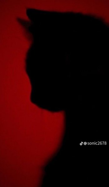  عکس زمینه سیاه