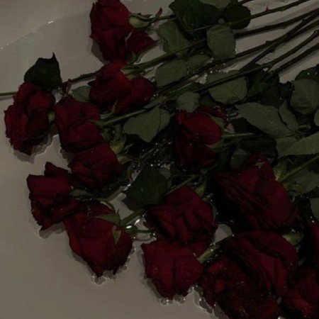  عکس مو قرمز