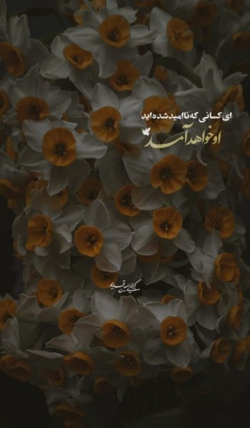  عکس امام زمان