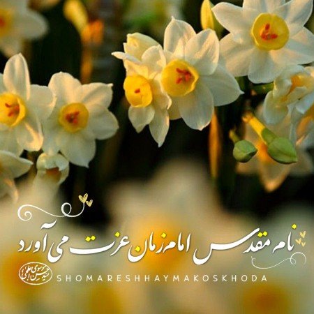  عکس امام زمان