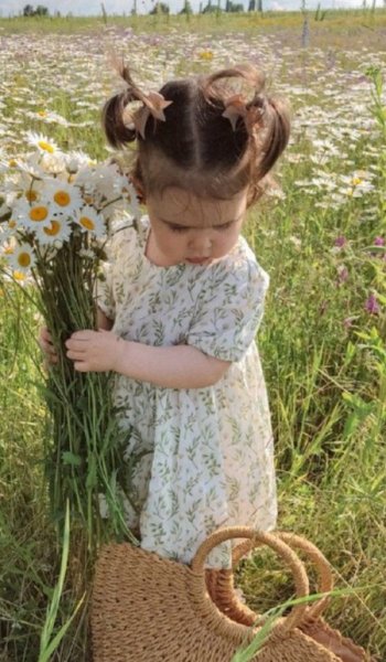  عکس گل بابونه