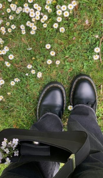  عکس گل بابونه