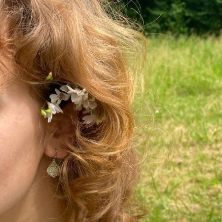  عکس گل بابونه