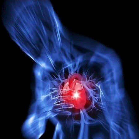  عکس شب بخیر