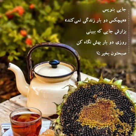  عکس شب بخیر