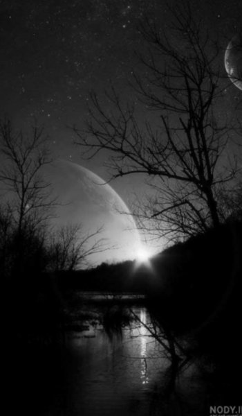  عکس شب بخیر