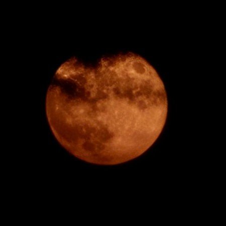  عکس شب بخیر