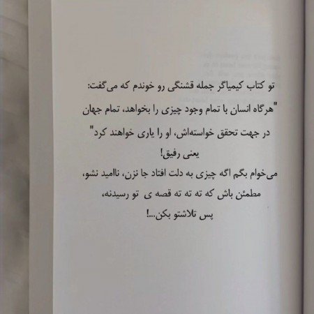 عکس سه خرس کله پوک