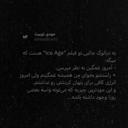  عکس سه خرس کله پوک