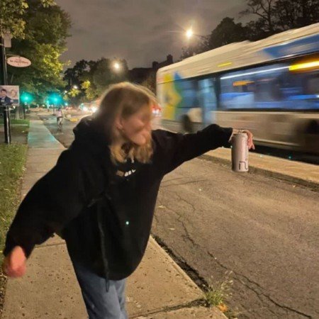  عکس سه خرس کله پوک