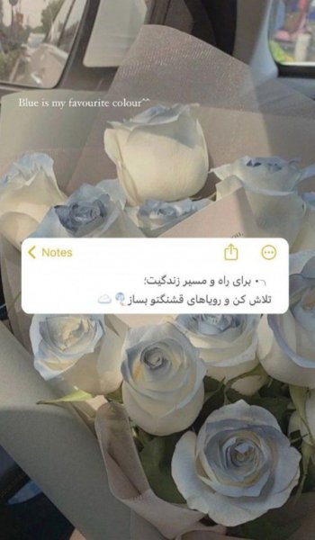  عکس انگیزشی دخترانه