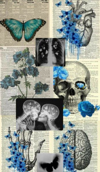  عکس بک گراند نارنجی