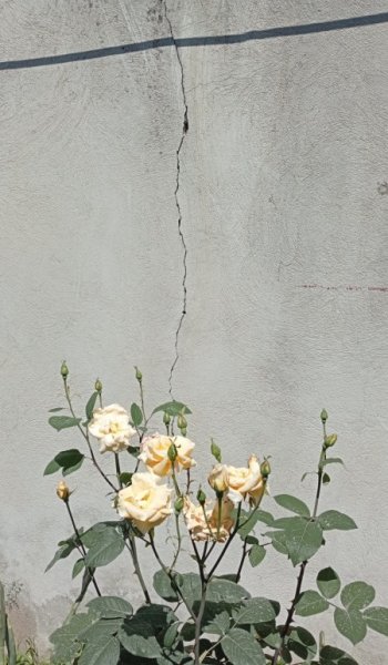  عکس بک گراند سفید