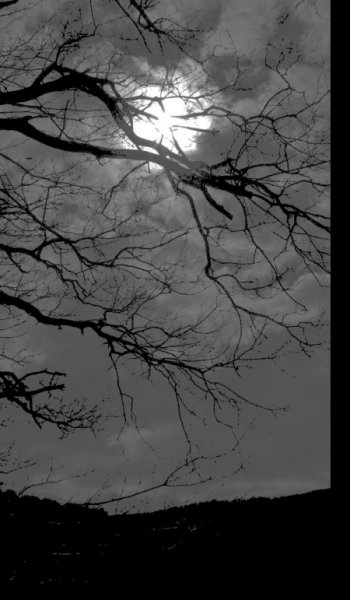  عکس مهربان نوشته