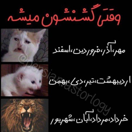  عکس ماه رمضان