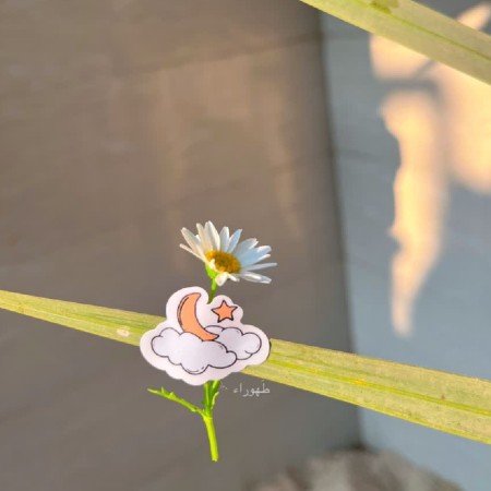  عکس ماه رمضان