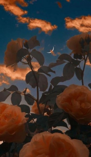  عکس ماه رمضان