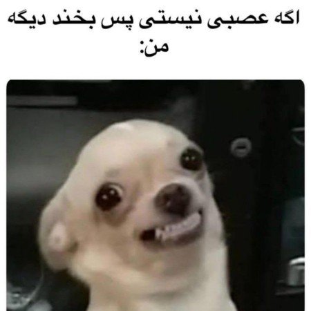  عکس خنده